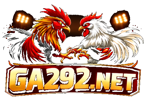 Ga292.net